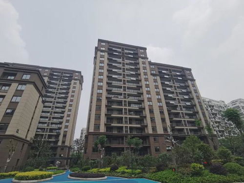 常州老王大圣房产怎么样(常州老王大圣房产怎么样啊)