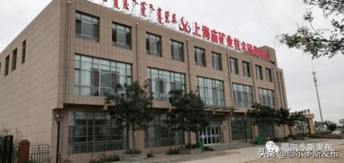 高邮顺达房产怎么样啊(高邮市顺达动力机电怎么样)