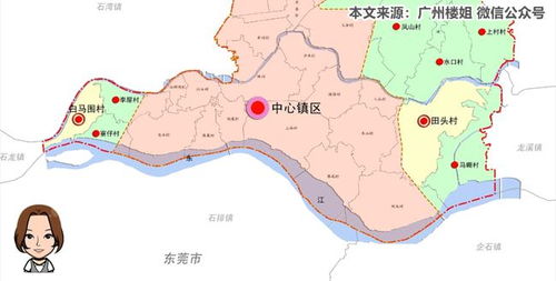 惠州园哥房产怎么样(惠州园洲房价最新消息)