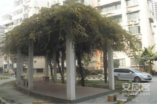 西安未央紫薇房产怎么样(西安紫薇的房子质量怎么样)