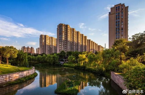 津滨房产楼市怎么样(津滨置业)