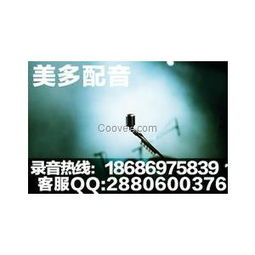 房产项目音频怎么做的(房地产音频)
