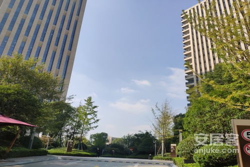 保利房产经纪怎么样啊(保利房产经纪怎么样啊知乎)