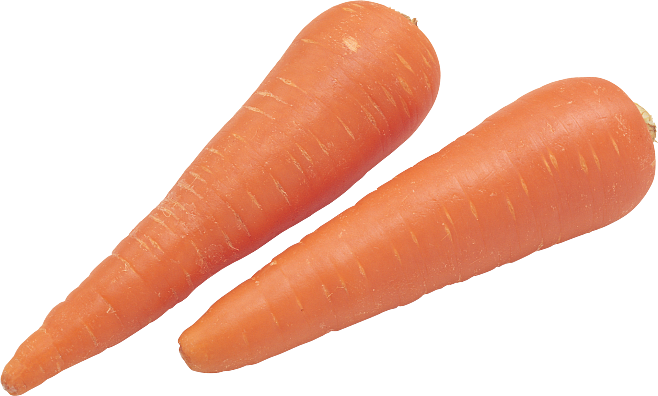 carrot,carrot的中文翻译