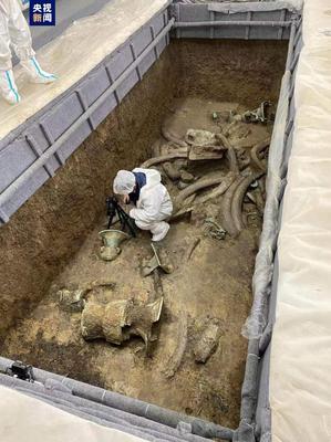 三星堆遗址考古发掘主要成果发布,三星堆遗址考古发掘2020
